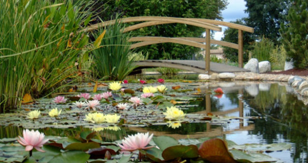 Les plus jolis lieux de promenade romantique de Lyon.