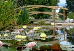 Les plus jolis lieux de promenade romantique de Lyon.