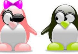 Les sites de Matching sont-ils efficaces ?